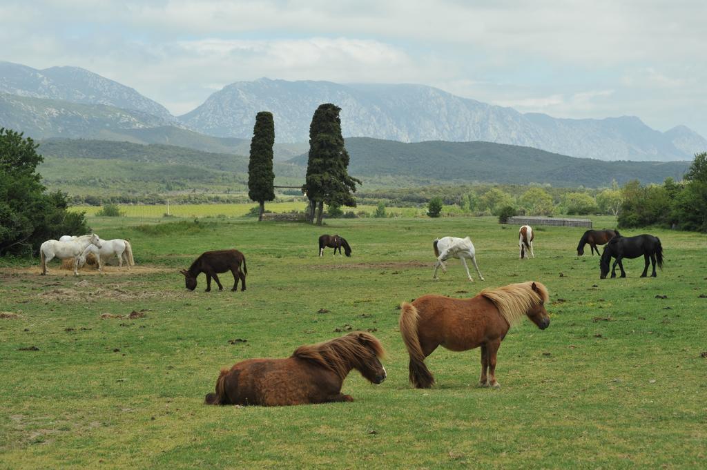 Domaine De Castel Fizel Otel Caudies-de-Fenouilledes Dış mekan fotoğraf
